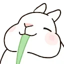 Video sticker ☺️ Pale Rabbit - @Sho...