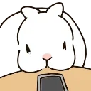 Video sticker 🐇 Pale Rabbit - @Sho...