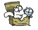 Video sticker 😌 simon's cat