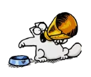 Telegram sticker 😶 simon's cat