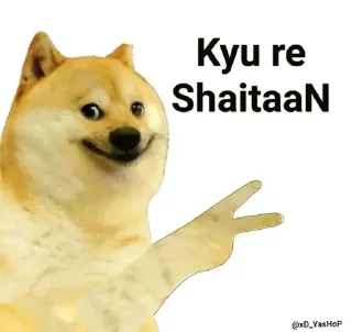 Video sticker 😂 Prayag's sticker pack (@Shinobu_robot)