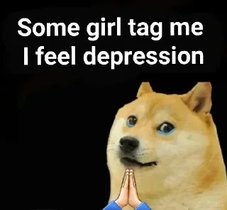 Telegram sticker 🥲 Prayag's sticker pack (@Shinobu_robot)