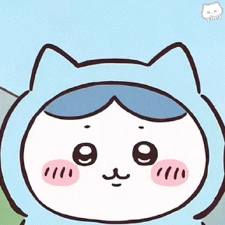Video sticker 😊 Chiikawa 吉伊卡哇 (10) @kal_pc