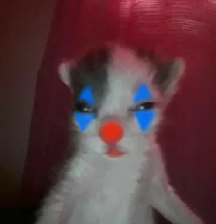 Telegram sticker 🤡 random by: @httpsvlabot