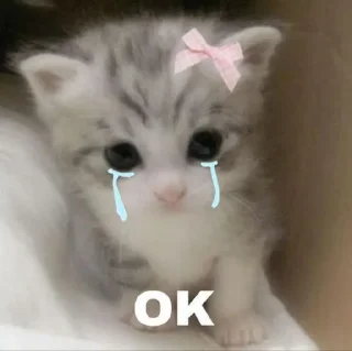Telegram sticker 😿 random by: @httpsvlabot