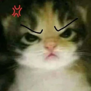 Telegram sticker 💢 random by: @httpsvlabot