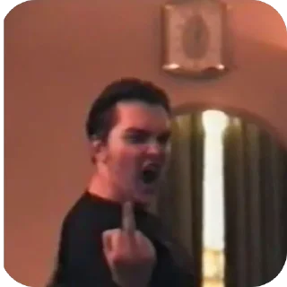 Telegram sticker 🖕 🤘🏻В гостях у Леши🤘🏻
