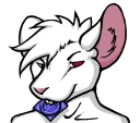 Video sticker 🐭 dirty rat