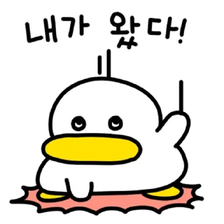 Video sticker ⭐ 꽉꽉꽉! 두 번째 곽철이 @moe_sticker_bot