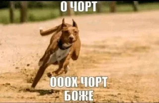 Telegram sticker 🌟 нищие стикеры :: @fStikBot