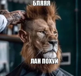 Telegram sticker 🤩 @shirokurozetsu @TgEmodziBot