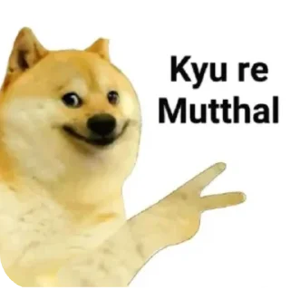 Telegram sticker 🐶 @mem