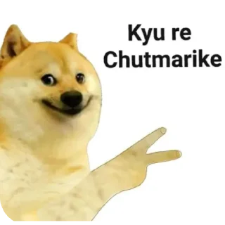 Telegram sticker 🐶 @mem