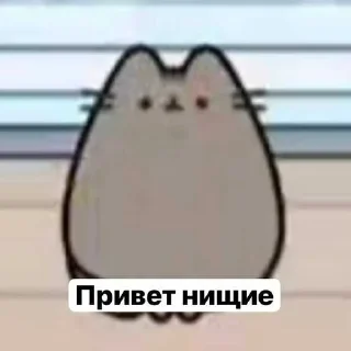 Video sticker 😎 ПУШЫН тойотіха кисаин