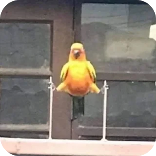 Telegram sticker 👍 @uspa_sb meniki bu🗿