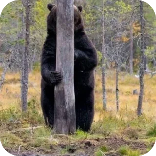 Telegram sticker 🌿 @uspa_sb meniki bu🗿