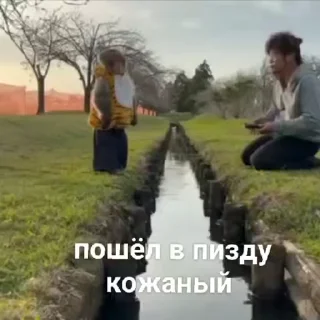 Video sticker 🖕 Монки поны и монки :: @fStikBot