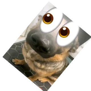 Telegram sticker 🐦 fuck людское