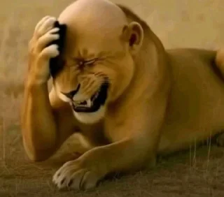 Video sticker 🤩 комментарии тт :: @fStikBot