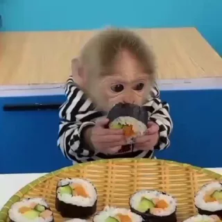 Video sticker 🍱 каришкины :: @fStikBot