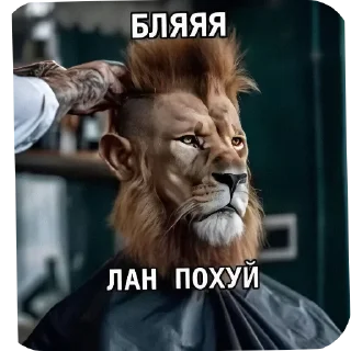 Telegram sticker 💇 Стикер пак от @kosoli01