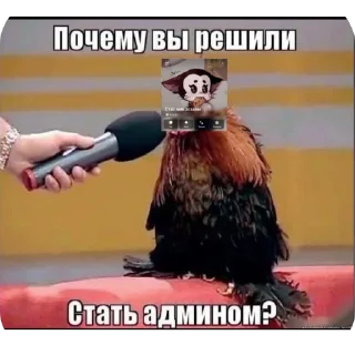 Telegram sticker 🖼 Стикер пак от @kosoli01