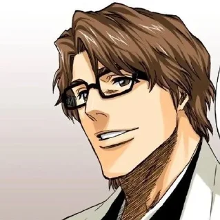 Telegram sticker 📓 𝗔𝗶𝘇𝗲𝗻 (@bleachstickerss) :: @fStikBot