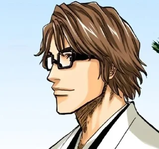 Video sticker 📓 𝗔𝗶𝘇𝗲𝗻 (@bleachstickerss) :: @fStikBot