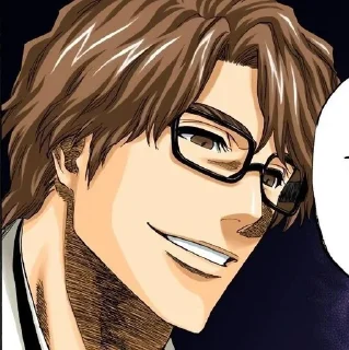 Telegram sticker 📓 𝗔𝗶𝘇𝗲𝗻 (@bleachstickerss) :: @fStikBot