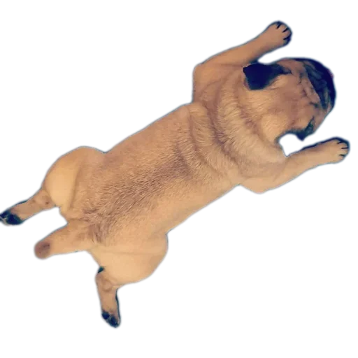 Telegram sticker ✋ Andre de Bonk