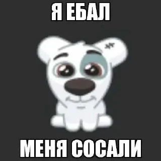 Video sticker 😜 песюн