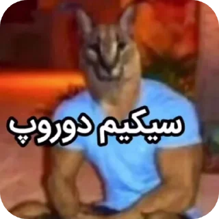 Telegram sticker ✋ @senpaia1i 👈منه باخ