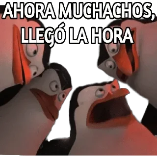 Video sticker ✳️ Starchock @StickersCloud