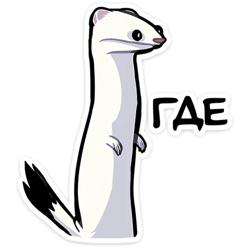 Telegram stiker 😳 Горностай Гера • @TgSticker