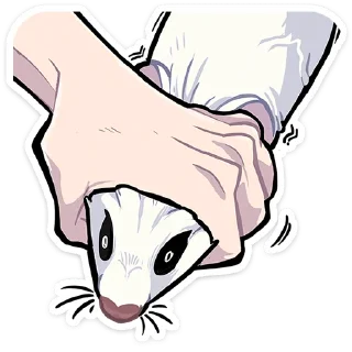 Video sticker 😵 Горностай Гера • @TgSticker