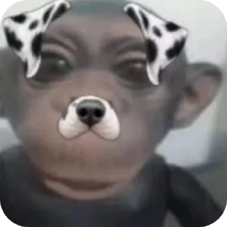 Телеграм стикер 🐶 will🦁