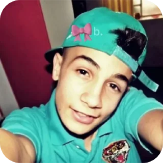 Video sticker 😎 will🦁