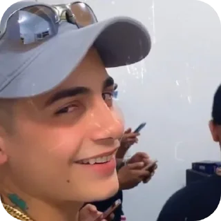 Video sticker 🎩 will🦁