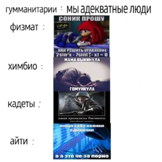 Video sticker 🎒 Халяльный стикерпак @microinsult1