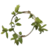 Video sticker 🌿 ꧁𝓣𝓱𝓮 �...