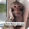 Video sticker 🤩 @abdusmva :: @fSti...