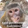 Video sticker 🐵 @abdusmva :: @fSti...