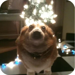 Sticker 🎄 Сабачкее