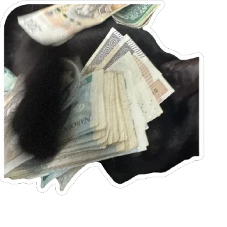 Video sticker 💵 blik