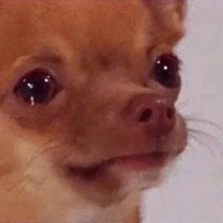 Video sticker 😢 Goofyyahhpack 😛