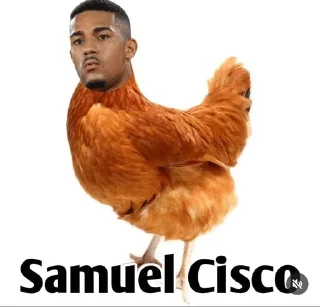 Telegram sticker 🐔 Se copiar, é gay :: @fStikBot