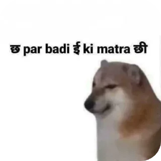Video sticker 🤲 •ʌ𝛎𝛊𝛊 :)