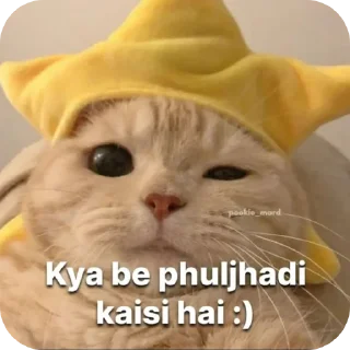 Telegram sticker 🐱 •ʌ𝛎𝛊𝛊 :)