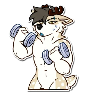 Video sticker 🏋️‍♀️ Mönty