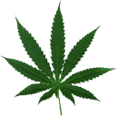 Video sticker 🌿 MLG